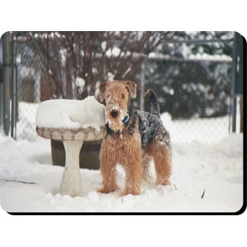 Akita (tan coloured)   Dog Mousemat   5
