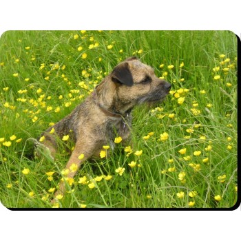 Brussels Griffon (Gold) Dog Mousemat   50