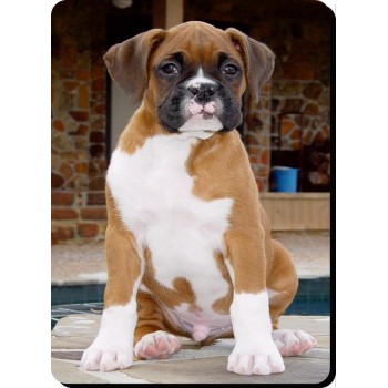 Bullmastiff (Tan) Dog Mousemat   53
