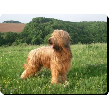 Cavalier King Charles Spaniel (Brown)  Dog Mousemat   58