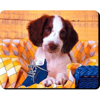 Cavalier King Charles Spaniel (live and White)  Dog Mousemat   59