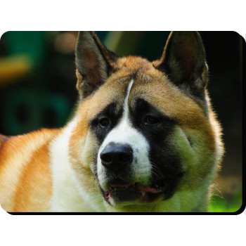 Akita (white coloured)  Dog Mousemat   6