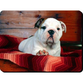 Chihuahua (Black)  Dog Mousemat   61