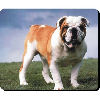 Chihuahua (Light Brown SH)  Dog Mousemat   63