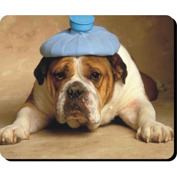 Chihuahua (Long Hair)  Dog Mousemat   64