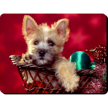 Chinese Crested Hairless Dog Mousemat   69