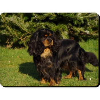 Chow Chow (black)  Dog Mousemat   71
