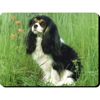 Chow Chow (Gold)  Dog Mousemat   72