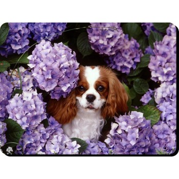 Clumber Spaniel  Dog Mousemat   73