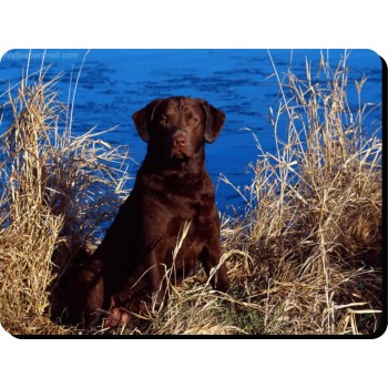 Corgi (Pembroke)  Dog Mousemat   82
