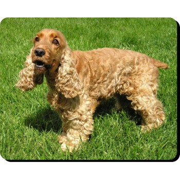 Dachshund (Brown SH))  Dog Mousemat   87
