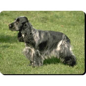 Dachshund (Wire Hair)  Dog Mousemat   88