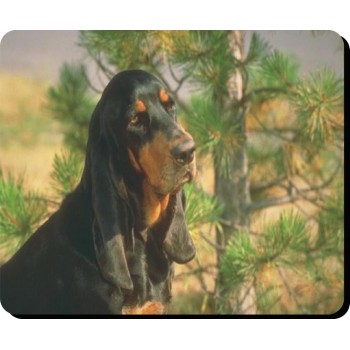 Dalmatian (brown spots)  Dog Mousemat   90
