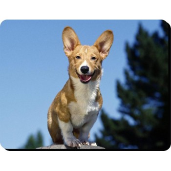 Dandie Dinmont  Dog Mousemat   91