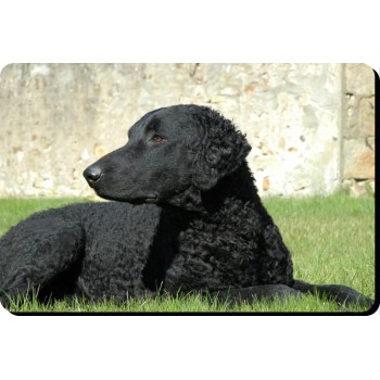 Doberman (Black dog)  Dog Mousemat   92