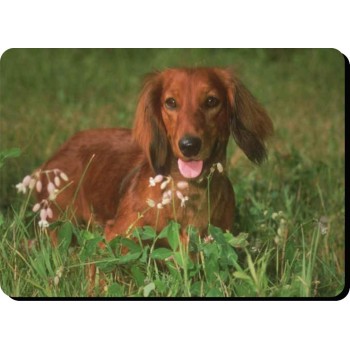 Doberman (cropped ears) Dog Mousemat   94