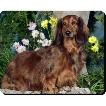 Dogue de Bordeaux (French Mastiff)  Dog Mousemat   95