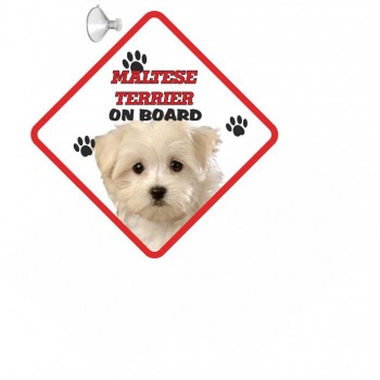 Maltese Terrier Hanging Car Sign   167