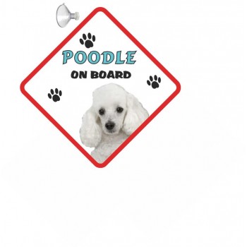 Poodle (Toy White) Hanging Car Sign   194