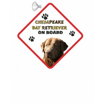 Chesapeake Bay Retriever  Hanging Car Sign   60
