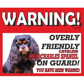 Cavalier King Charles Spaniel (BK & Tan) RED warning metal sign   57
