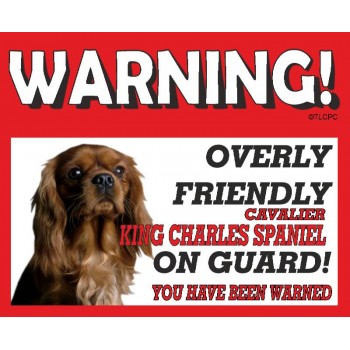 Cavalier King Charles Spaniel (Brown)  RED warning metal sign   58